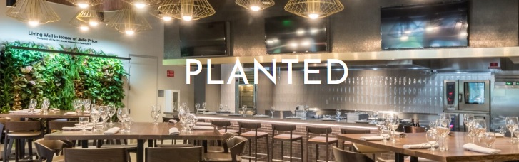 planted